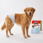 Scutece De Unica Folosinta Pentru Caini Masculi | Marime L (63–80 cm) | Protectie Antiscurgere | 8 Bucati