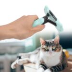 Perie Curba Pentru Pisici Si Caini | Auto-Curatare | Descalcire Noduri | Culoare Aleatorie