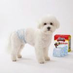 Scutece De Unica Folosinta Pentru Caini Masculi | Marime M (45–63 cm) | Protectie Antiscurgere | 8 Bucati