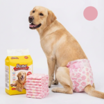 Scutece De Unica Folosinta Pentru Caini Femele | Marime XXL (40–63 cm) | Protectie Antiscurgere | 8 Bucati