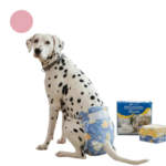 Scutece De Unica Folosinta Pentru Caini Femele | Marime M (30–50 cm, 6–11 kg) | Set 30 Bucati