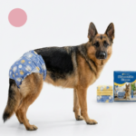 Set 30 Bucati Scutece De Unica Folosinta Pentru Caini | Femele | Marime XL (38–58 cm, 18–32 kg)