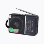 Radio Portabil | MP3 USB TF | AM FM SW1 SW2 Afisaj Digital Mufa Casti | Negru
