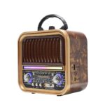 Radio Portabil Retro cu Maner | AM FM SW Bluetooth | USB TF Type-C Baterie Reincarcabila | Multicolor