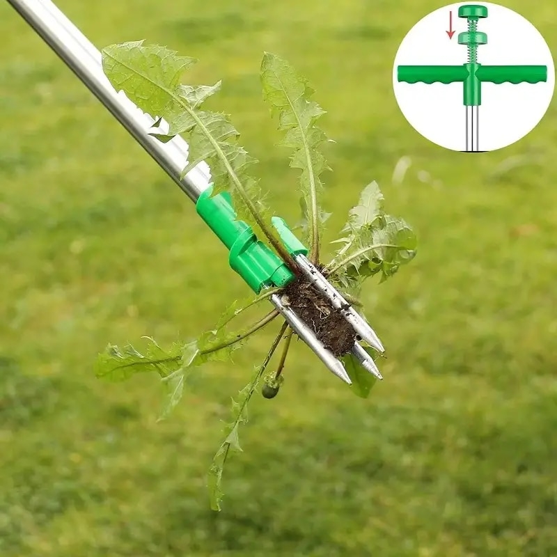 Dispozitiv carlig de scos buruieni fara efort – extractie radacina completa, gradina curata rapid, fara chimicale - imagine 4